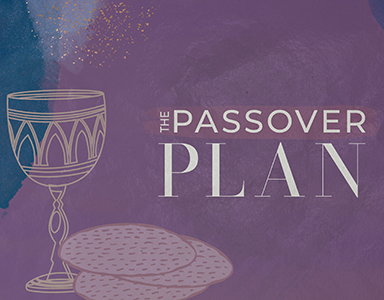 The Passover Plan – Rev. Dr. Bob Fuller 2/21/21