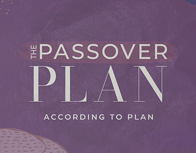 According to Plan – Rev. A. Mitchell Moore 3/21/21