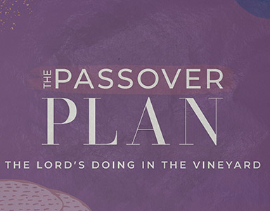 The Lord’s Doing in the Vineyard – Alex Solorio 3/7/21